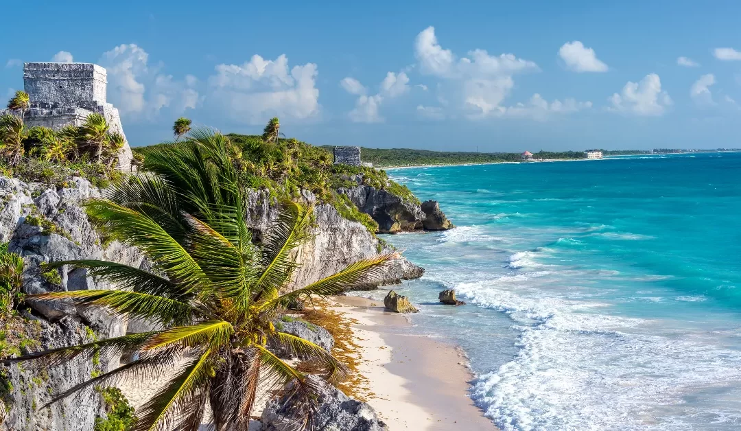 Complete Guide: Digital Nomads In Tulum