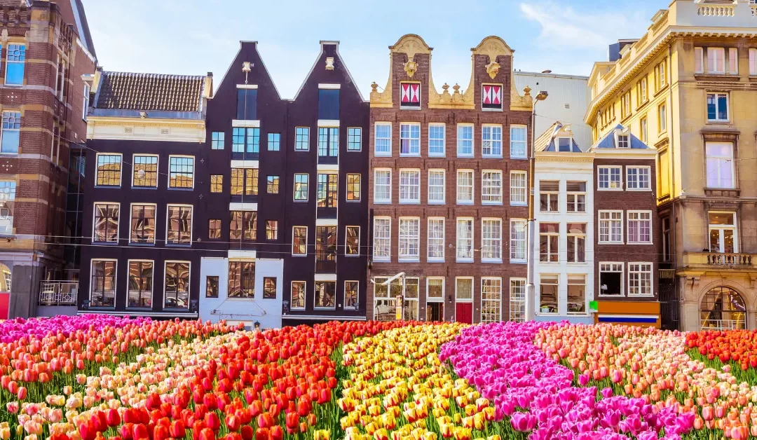 Pros And Cons Of Living In Amsterdam