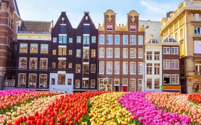 Pros And Cons Of Living In Amsterdam