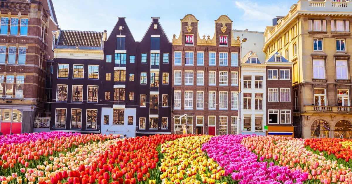 Pros and cons of living in Amsterdam 