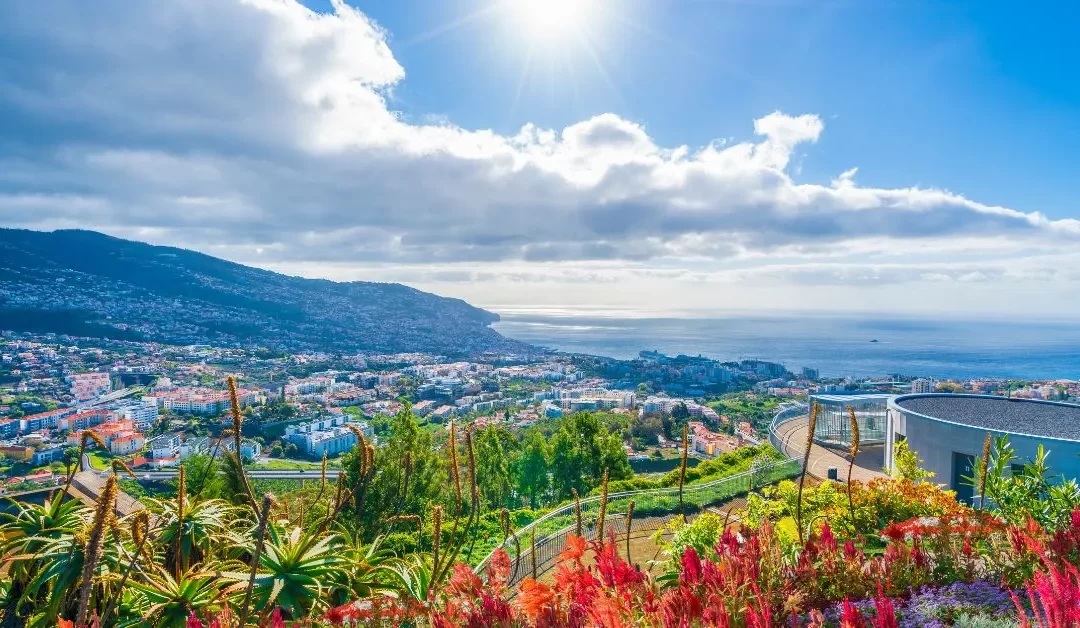 Pros And Cons Of Living In Madeira