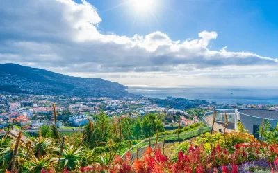 Pros And Cons Of Living In Madeira